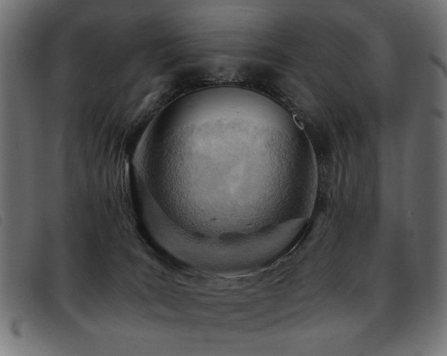 X0000093440035200710121342