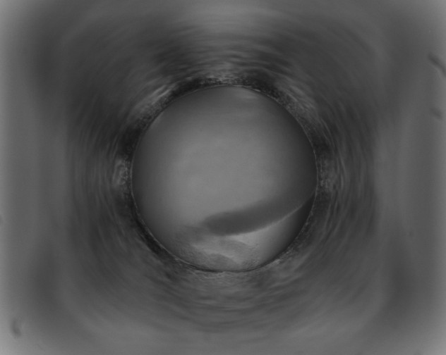 X0000093440036200710121342