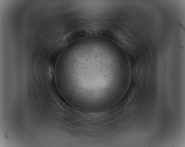 X0000093440038200710121342