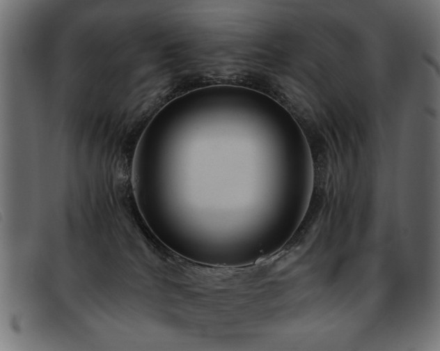 X0000093440040200710121342