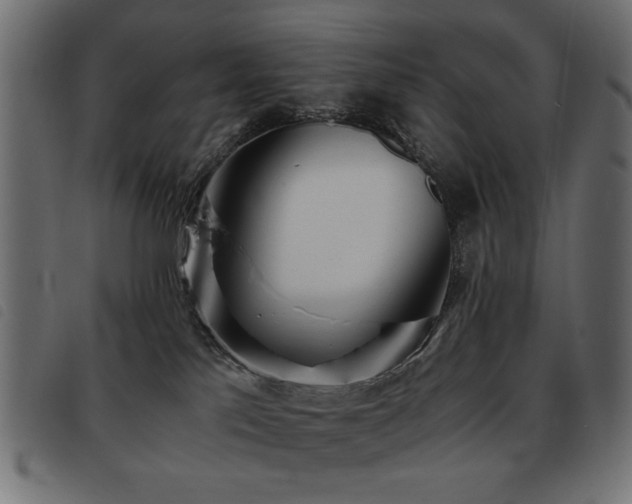 X0000093440041200710121342