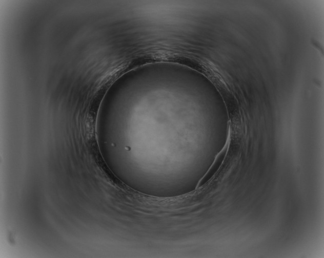 X0000093440043200710121342