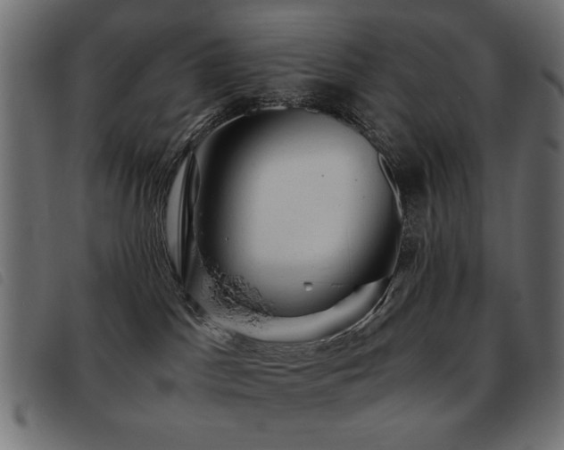 X0000093440045200710121342
