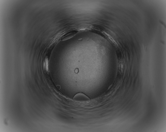 X0000093440046200710121342