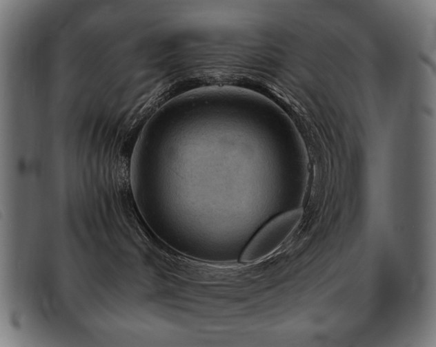 X0000093440048200710121342