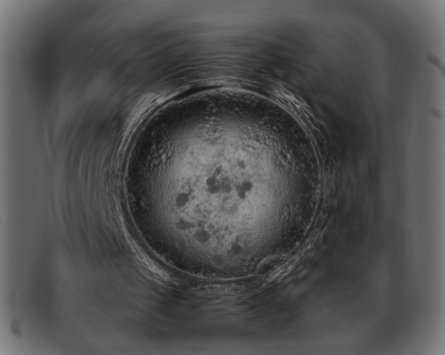 X0000093440049200710121341