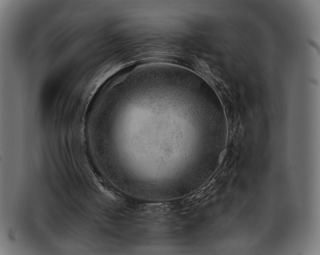 X0000093440050200710121341