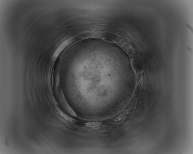 X0000093440051200710121341
