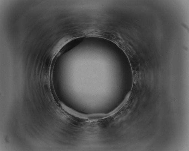 X0000093440052200710121341