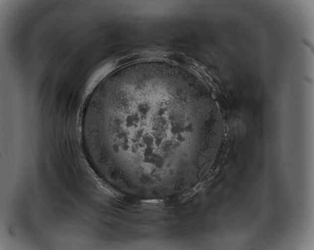X0000093440053200710121341