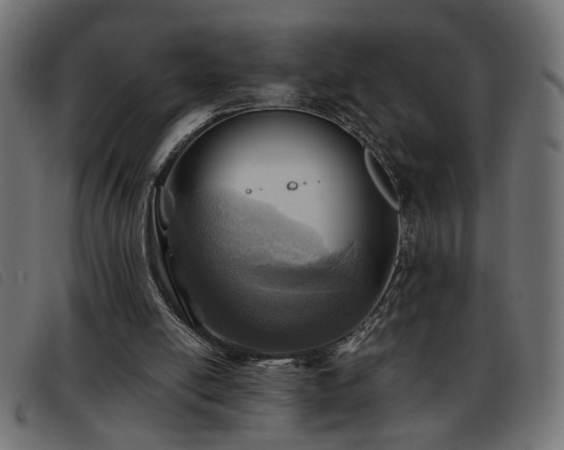 X0000093440054200710121341