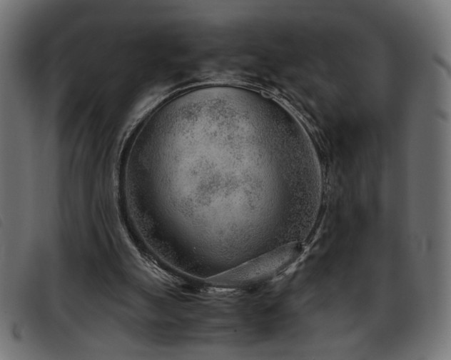 X0000093440055200710121341