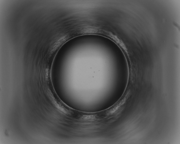X0000093440057200710121341