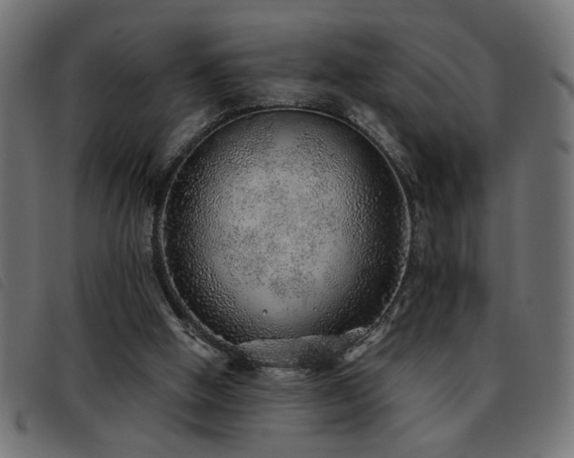 X0000093440058200710121341