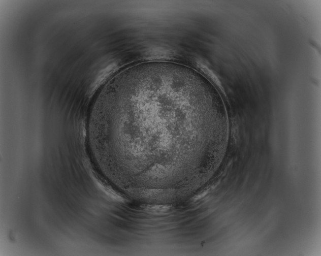 X0000093440059200710121341