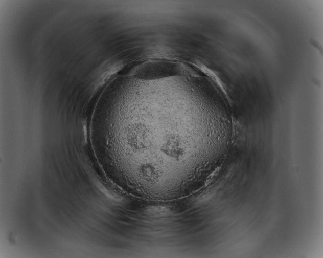 X0000093440061200710121342