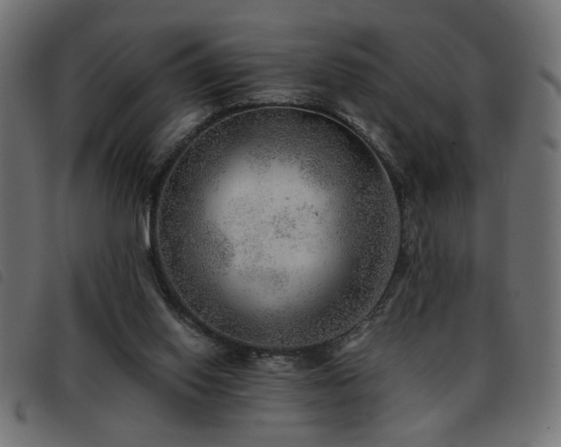 X0000093440062200710121342