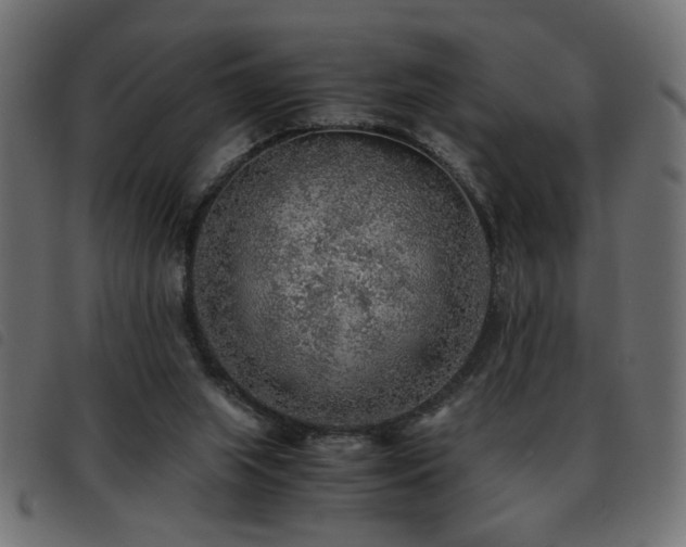 X0000093440063200710121342