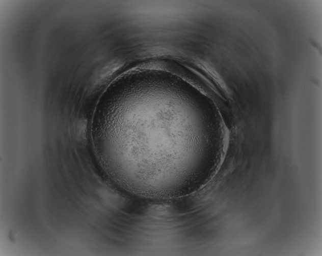 X0000093440066200710121342