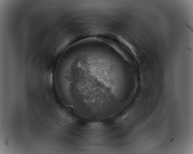 X0000093440067200710121342