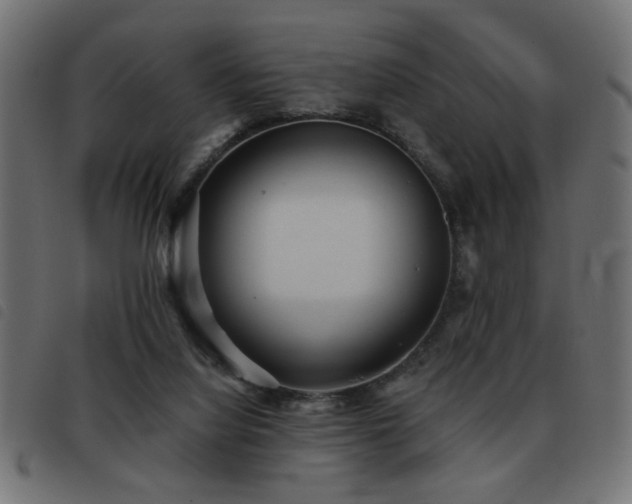 X0000093440068200710121342
