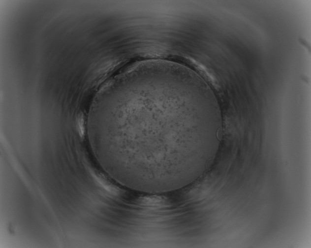 X0000093440069200710121342