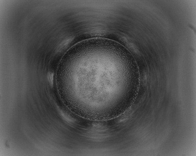 X0000093440070200710121342