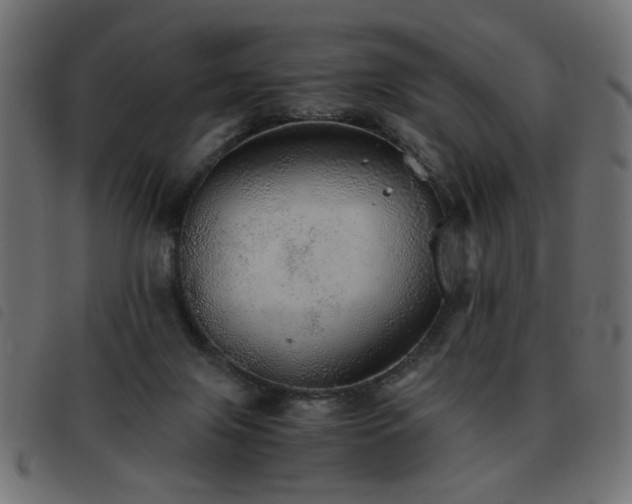 X0000093440071200710121342