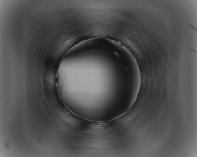 X0000093440072200710121342