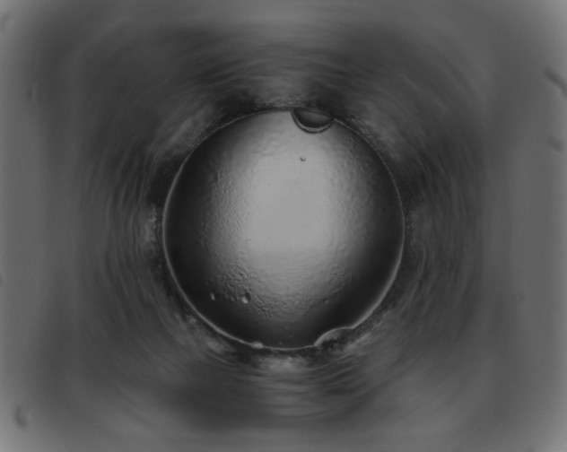 X0000093440073200710121342