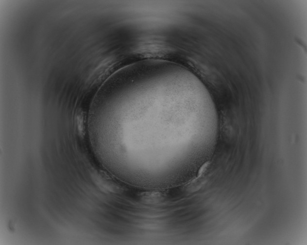 X0000093440074200710121342
