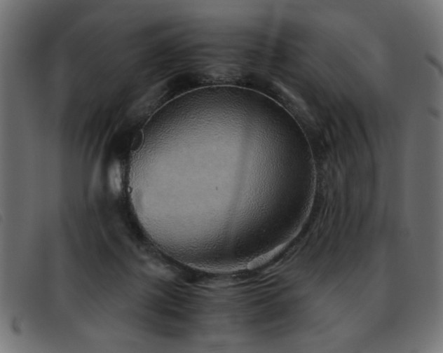 X0000093440075200710121342