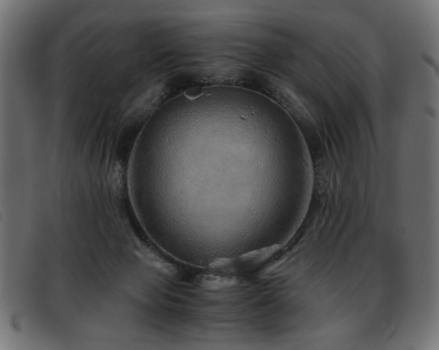 X0000093440077200710121342