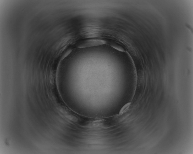 X0000093440078200710121342