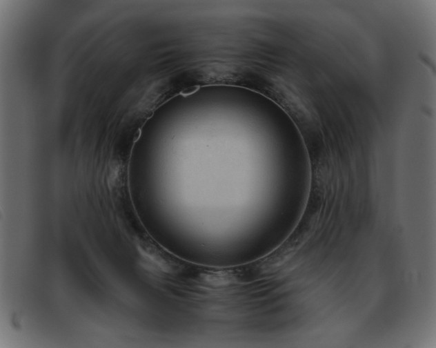 X0000093440079200710121342