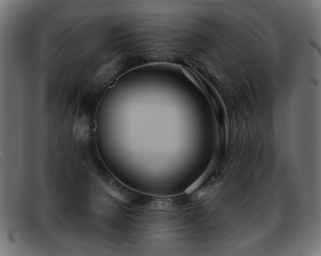 X0000093440080200710121342