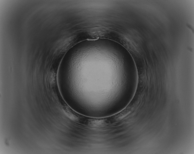 X0000093440081200710121342