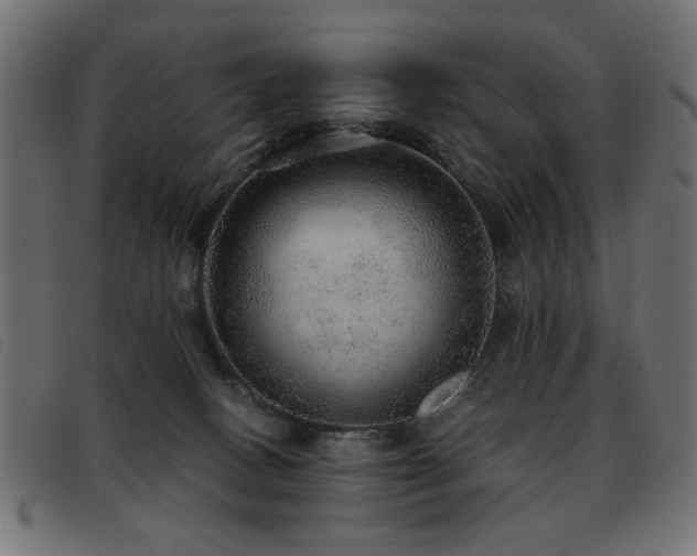 X0000093440082200710121342