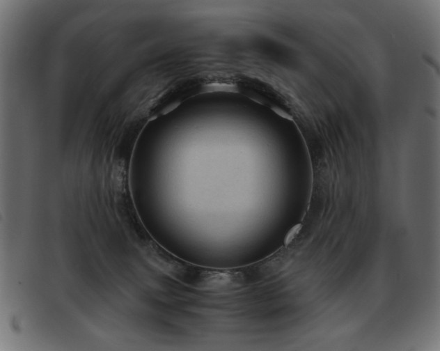 X0000093440083200710121342