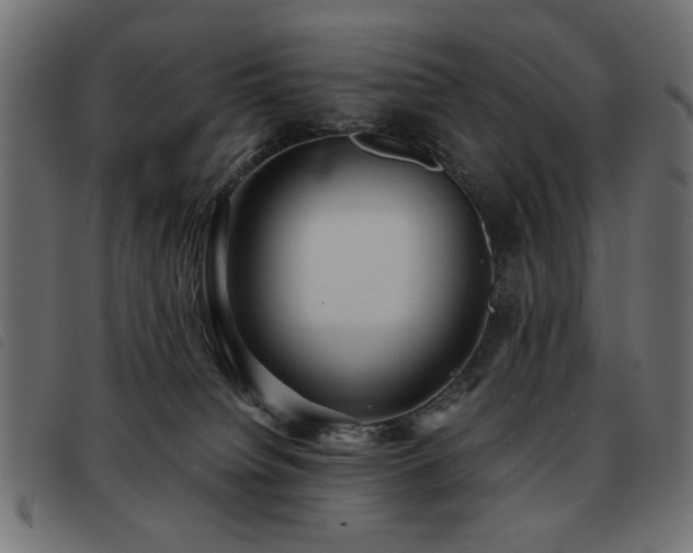 X0000093440084200710121342