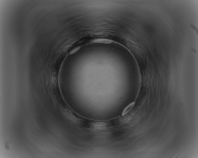 X0000093440085200710121342