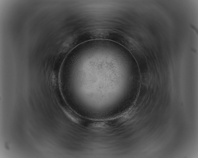 X0000093440086200710121342