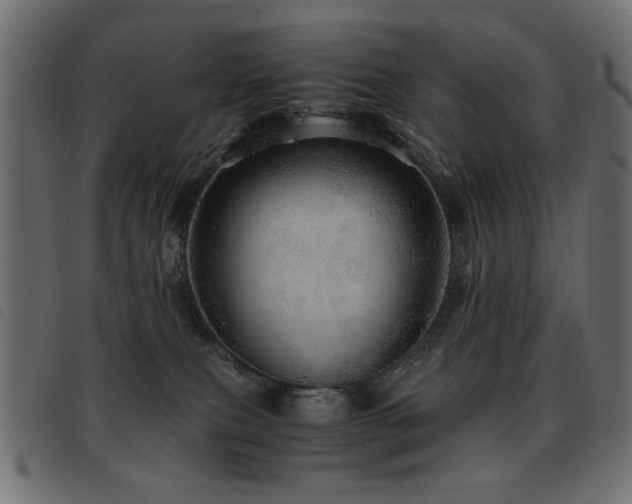 X0000093440087200710121342