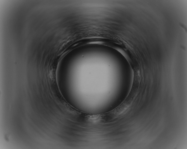 X0000093440088200710121342