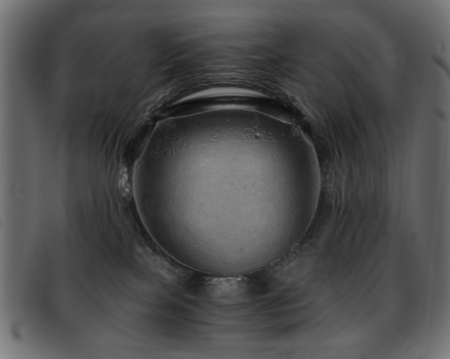 X0000093440089200710121342