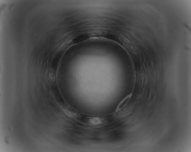 X0000093440091200710121342