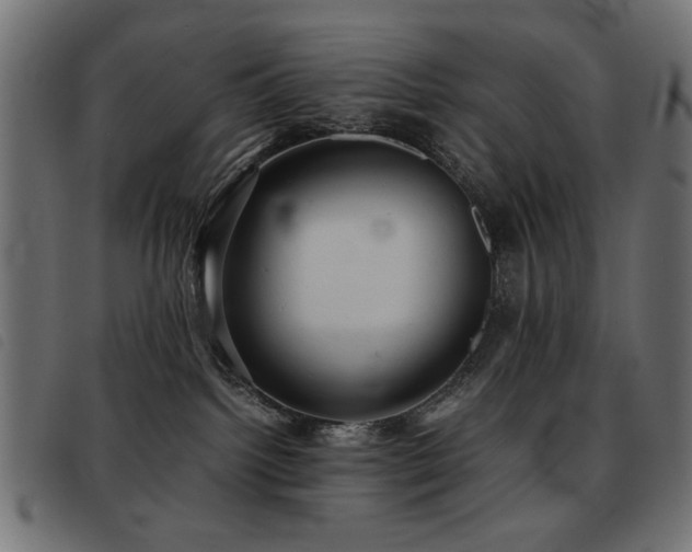 X0000093440092200710121342