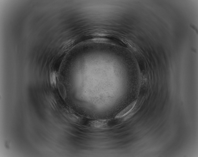 X0000093440094200710121342