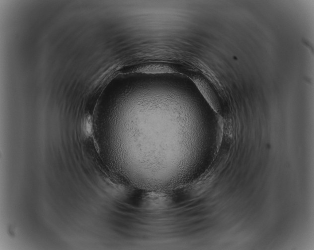X0000093440095200710121342