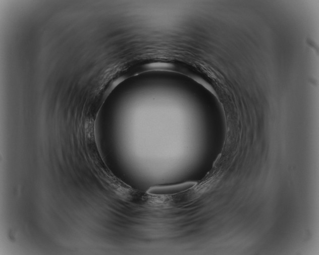 X0000093440096200710121342